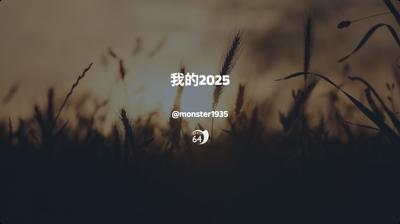 我的2025